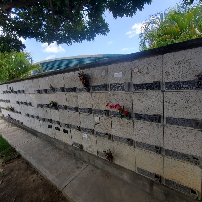 20250714_124148.jpg
