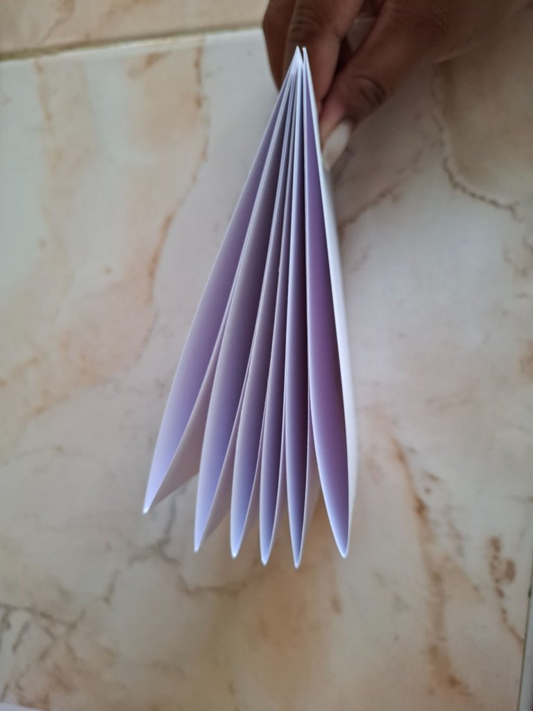 1000593676.jpg