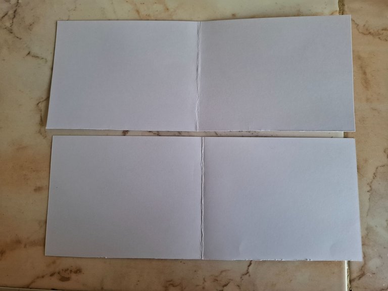 1000593666.jpg