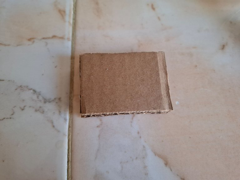 1000459178.jpg