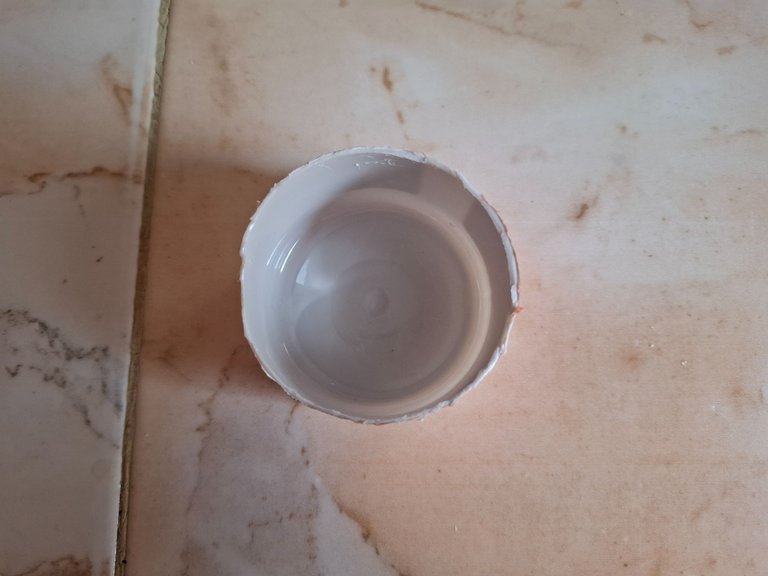 1000526486.jpg