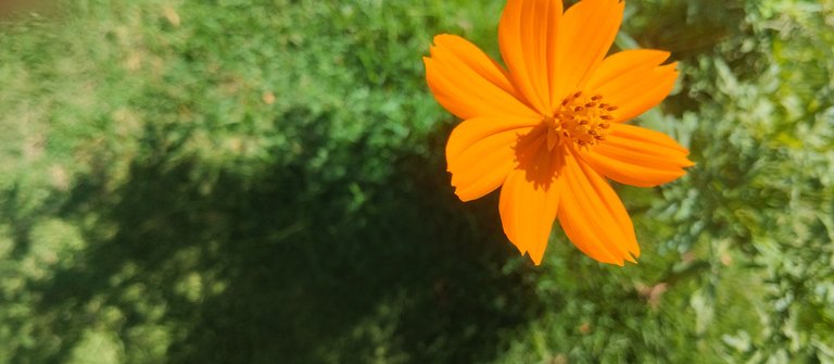 1742915199686 (1).jpg