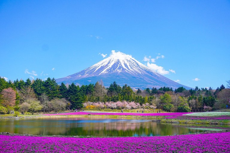 mount-fuji-8010752_1280.jpg