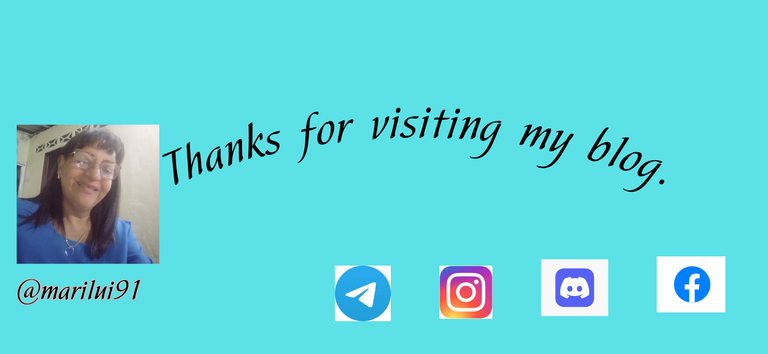 Gracias por visitar mi blog (7).png