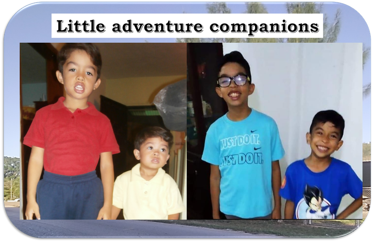 Little adventure companions / Pequeños compañeros de aventuras [ ENG/ESP ]