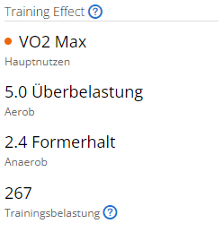 Trainingseffect 1.png