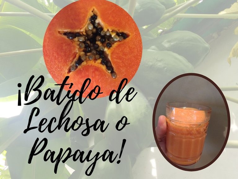 ¡batido de Lechosa o Papaya!.jpg