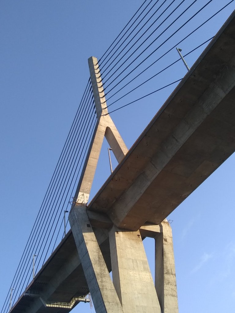 puente Tampico.jpg