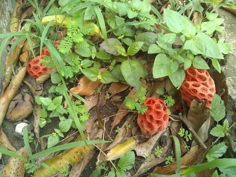 foto01.jpg