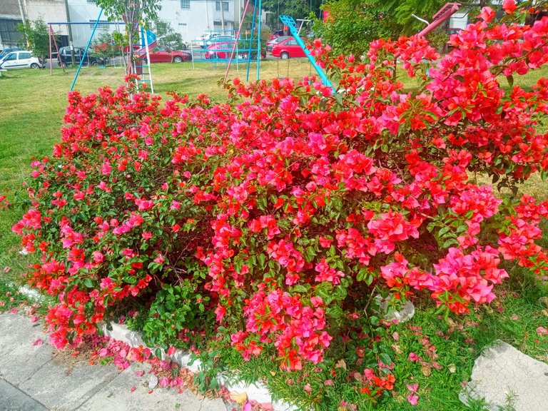IMG_20231214_110659_802-EFFECTS.jpg
