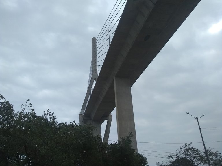 puente2.jpg