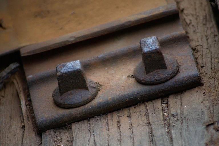 DSC_0103.jpg