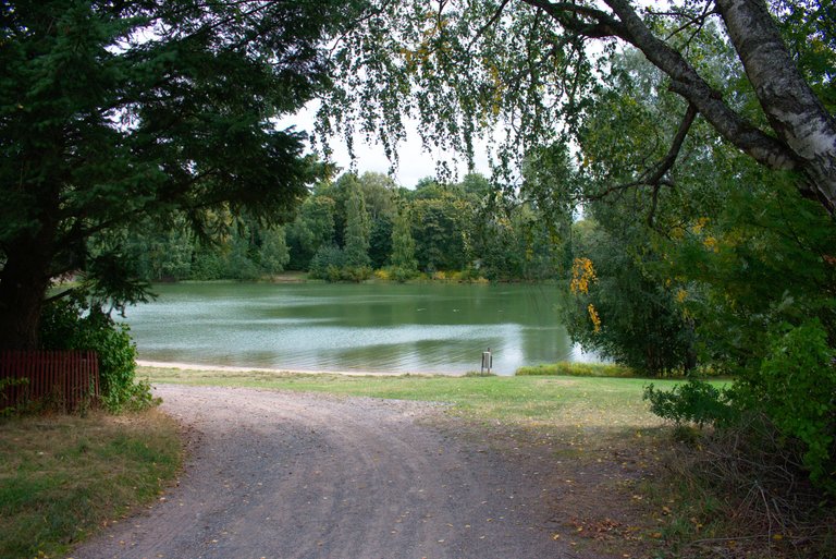 DSC_0087.jpg