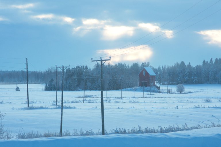 DSC_0484.jpg
