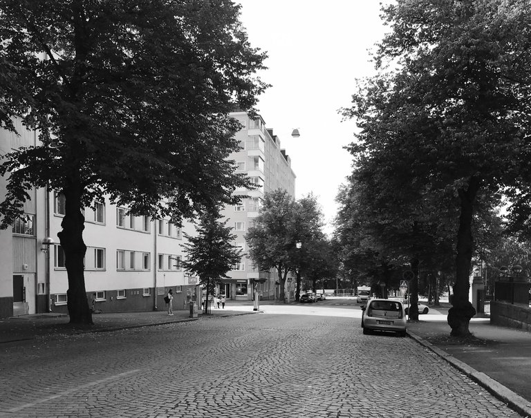 IMG_8630_02.jpg