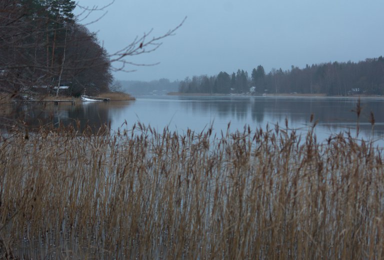 DSC_0402.jpg