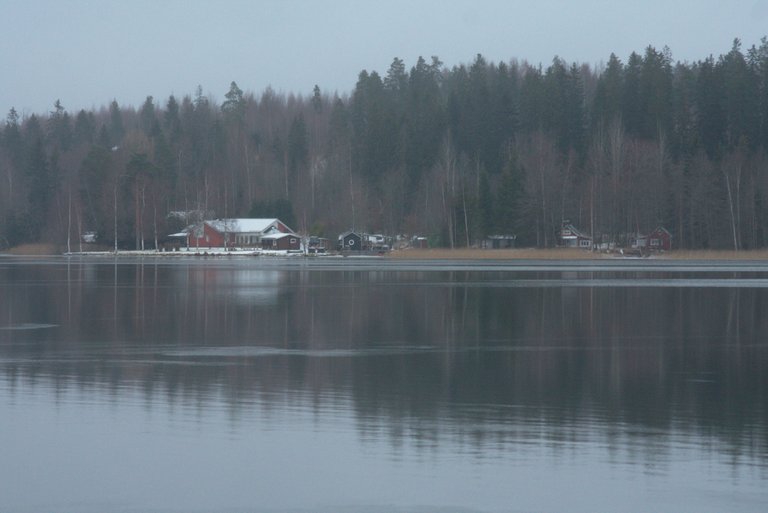 DSC_0410.jpg