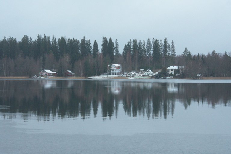 DSC_0403.jpg