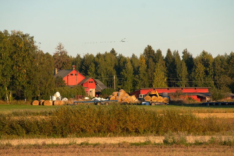 DSC_0586.jpg