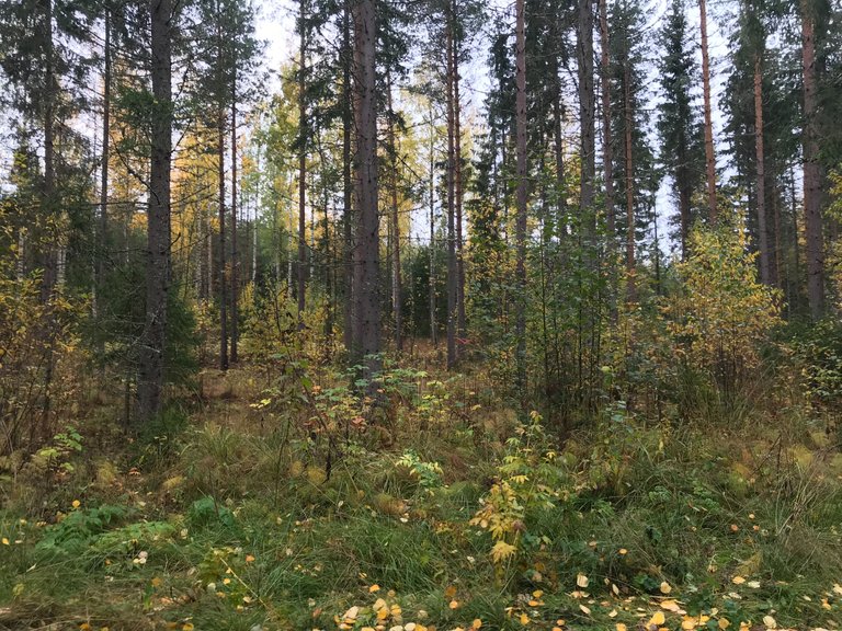IMG_9799.JPG