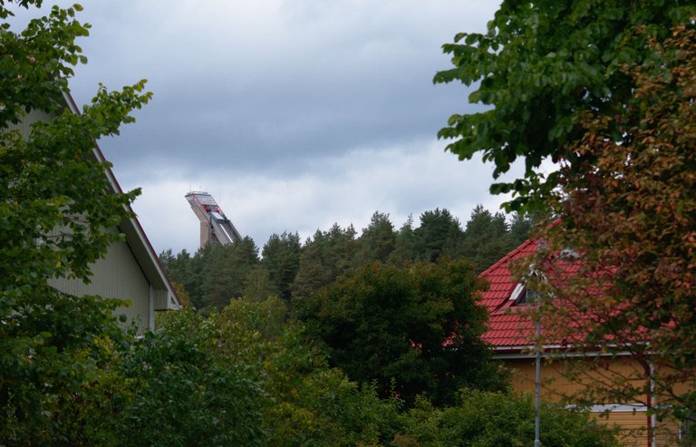 DSC_0108.jpg
