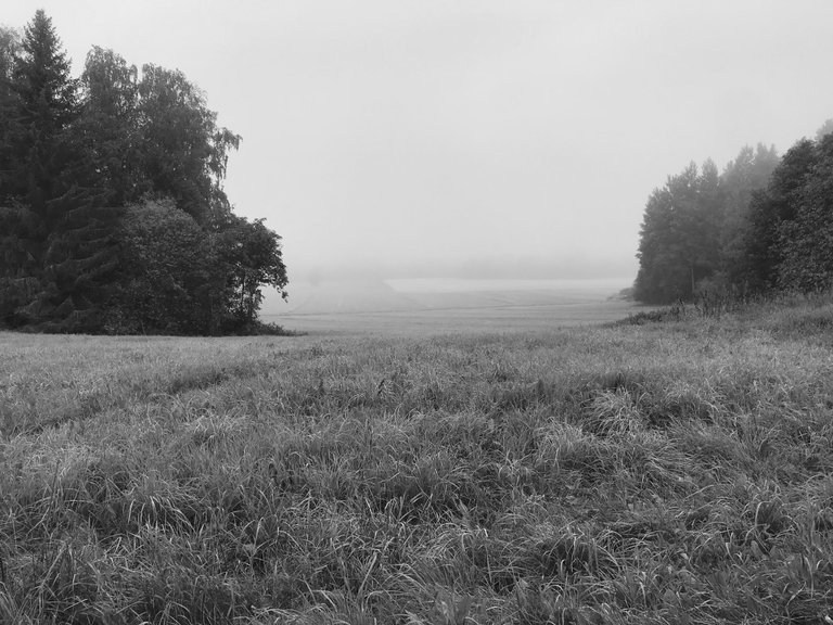 IMG_8610_1.JPG