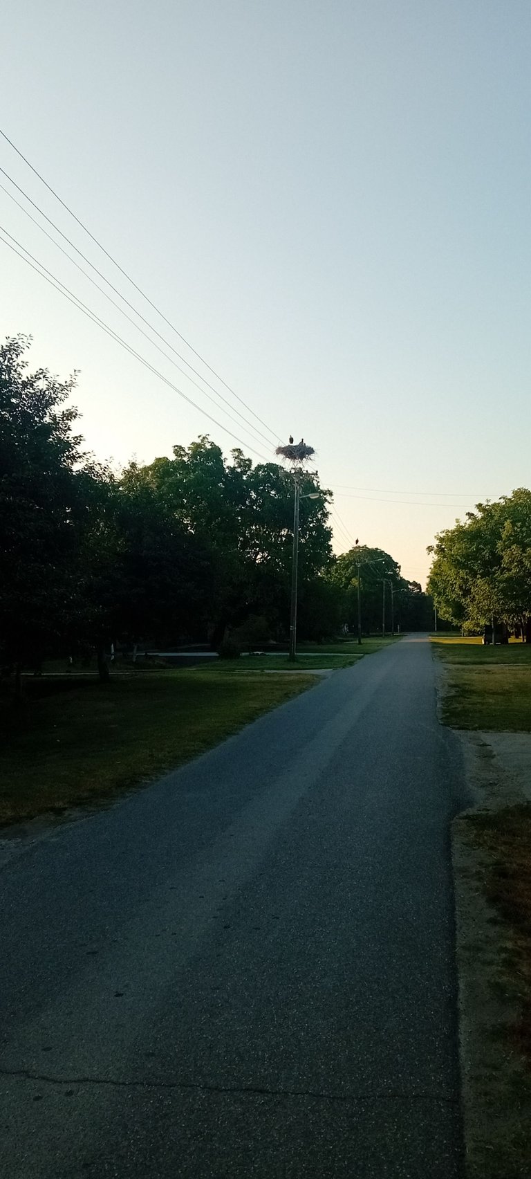20250625_054303.jpg