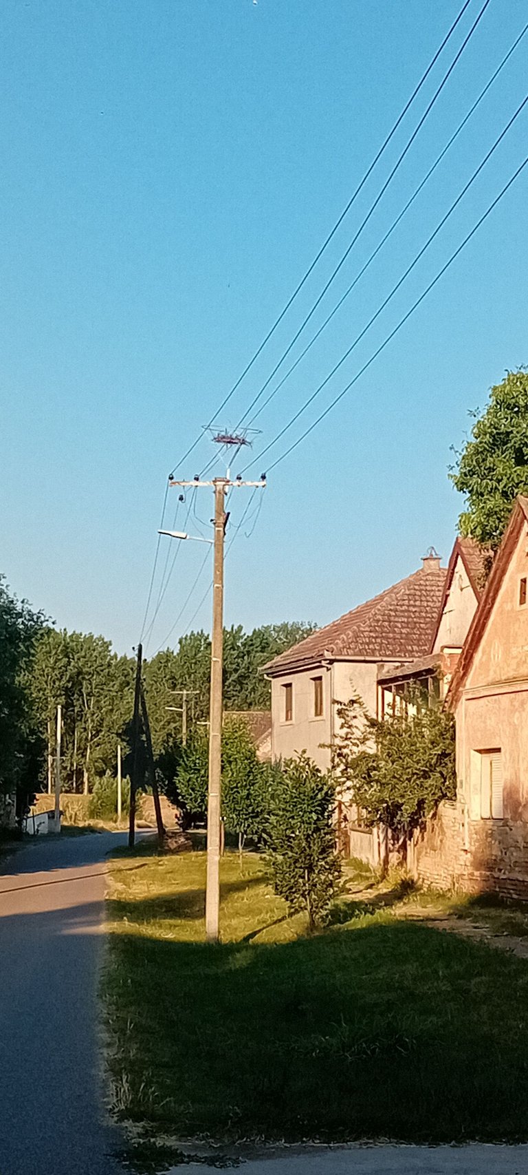 20250625_060640.jpg