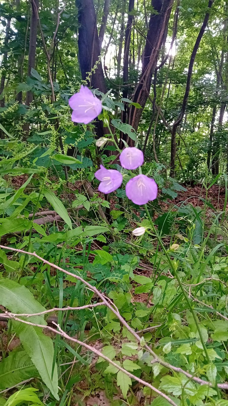 20250525_155952.jpg