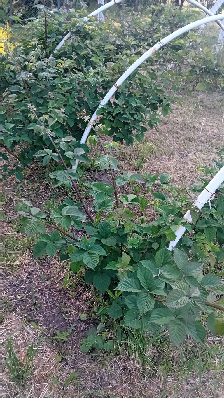 20250520_183122.jpg
