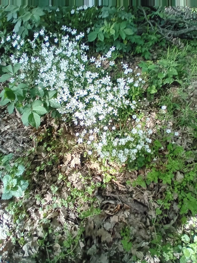 20250421_164028.jpg