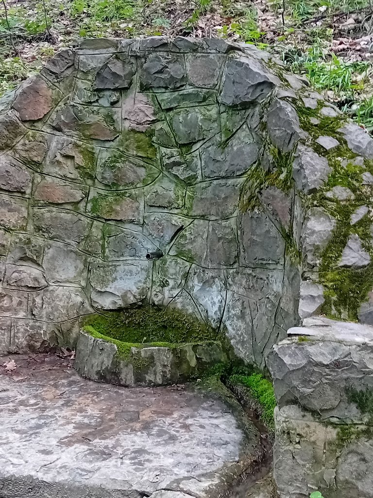 20250421_151441.jpg
