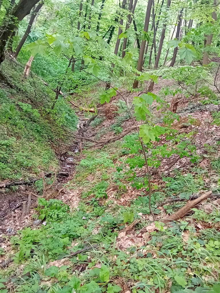 20250421_151530.jpg