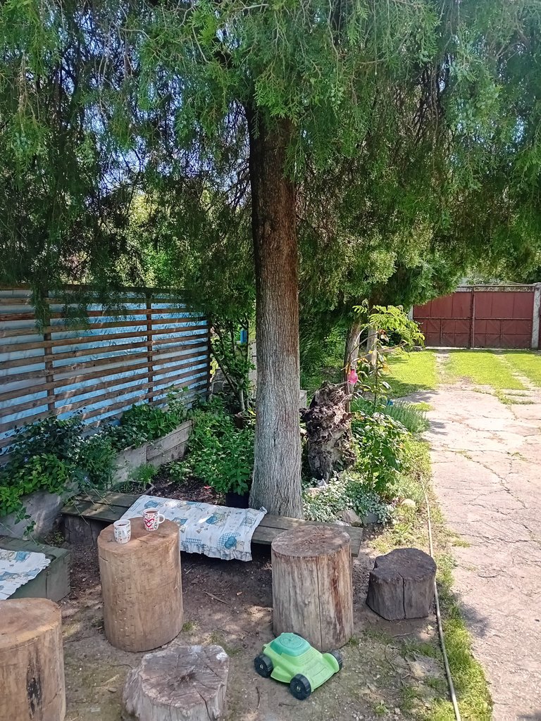 20250510_143129.jpg