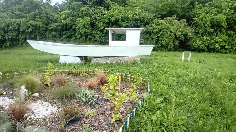 20250525_135024.jpg