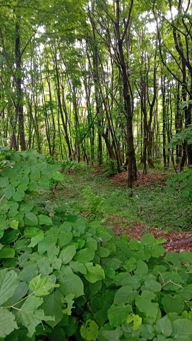 20250525_155319.jpg