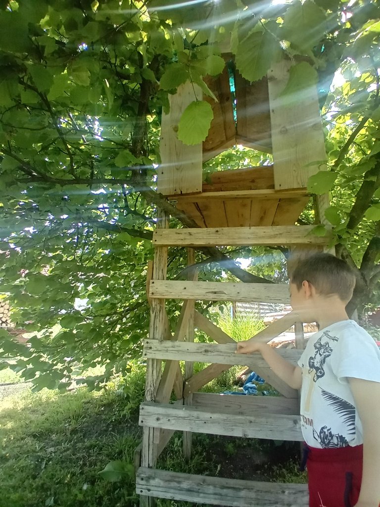 20250504_124108.jpg