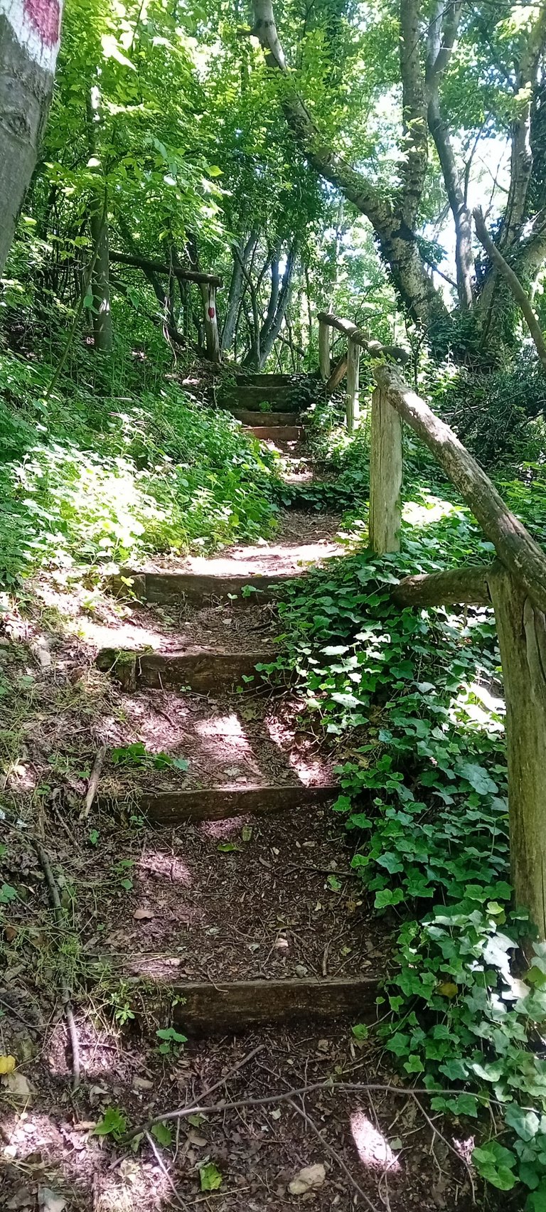 20250601_135651.jpg