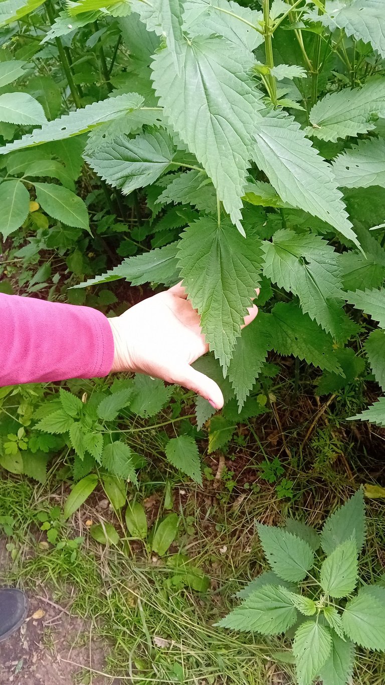 20250525_151525.jpg