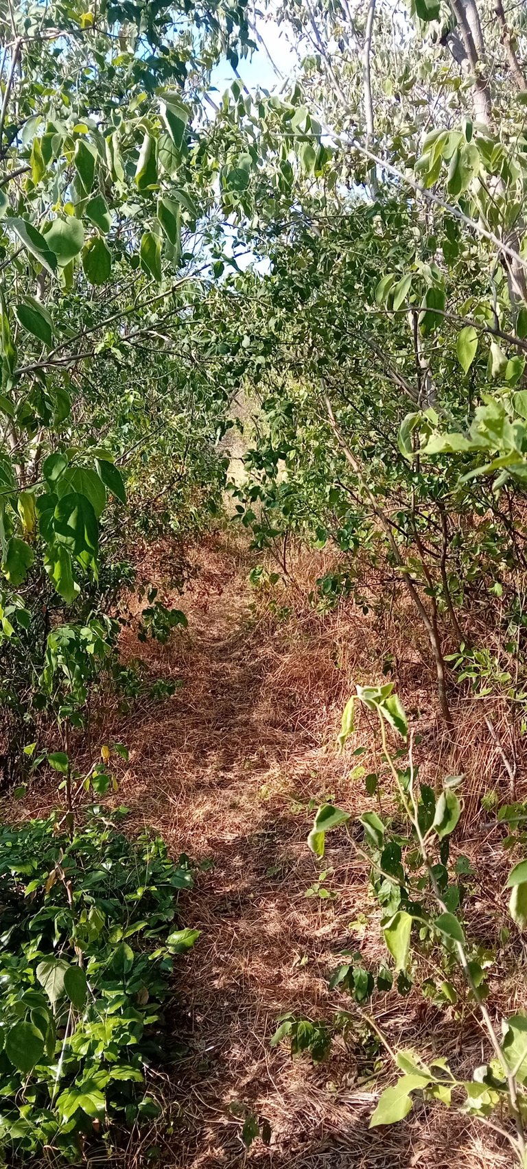 20250712_171616.jpg
