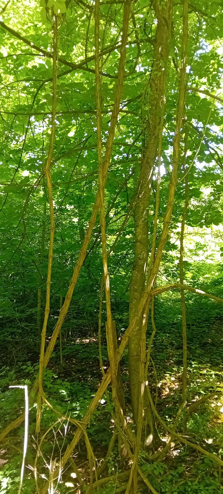 20250601_112559.jpg