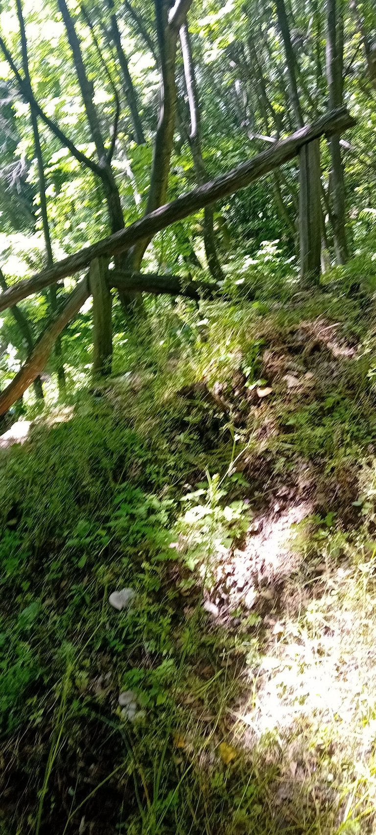 20250601_135658.jpg
