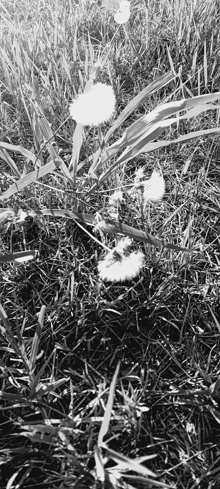 20250720_182238.jpg