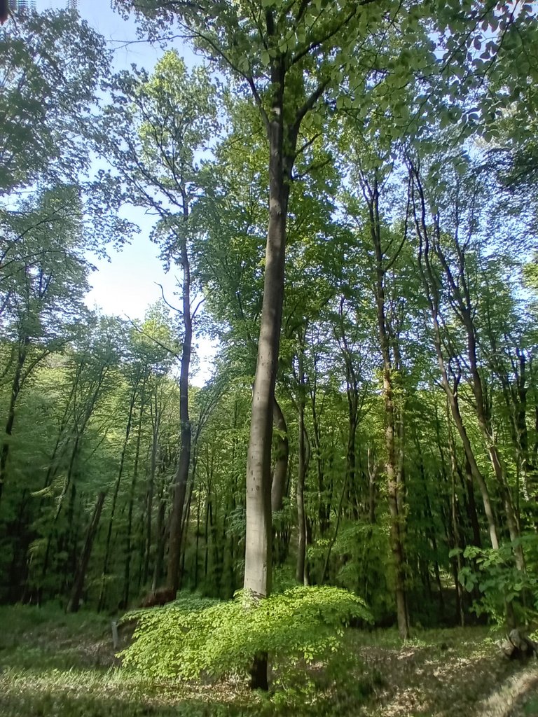 20250421_170623.jpg