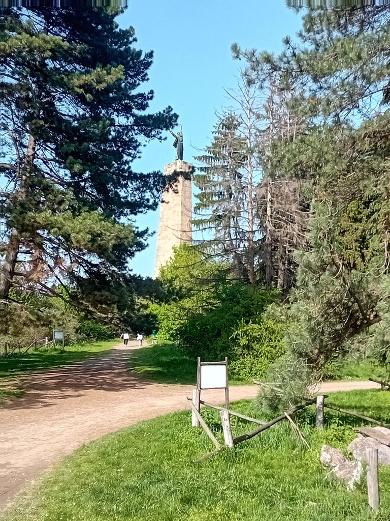 20250421_161838.jpg