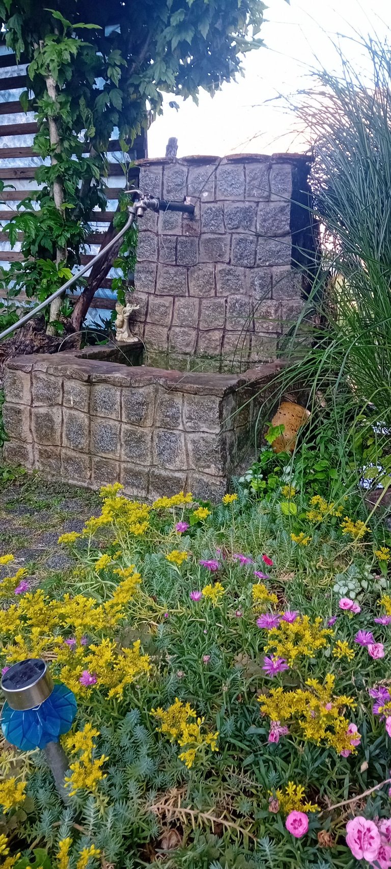 20250615_183146.jpg