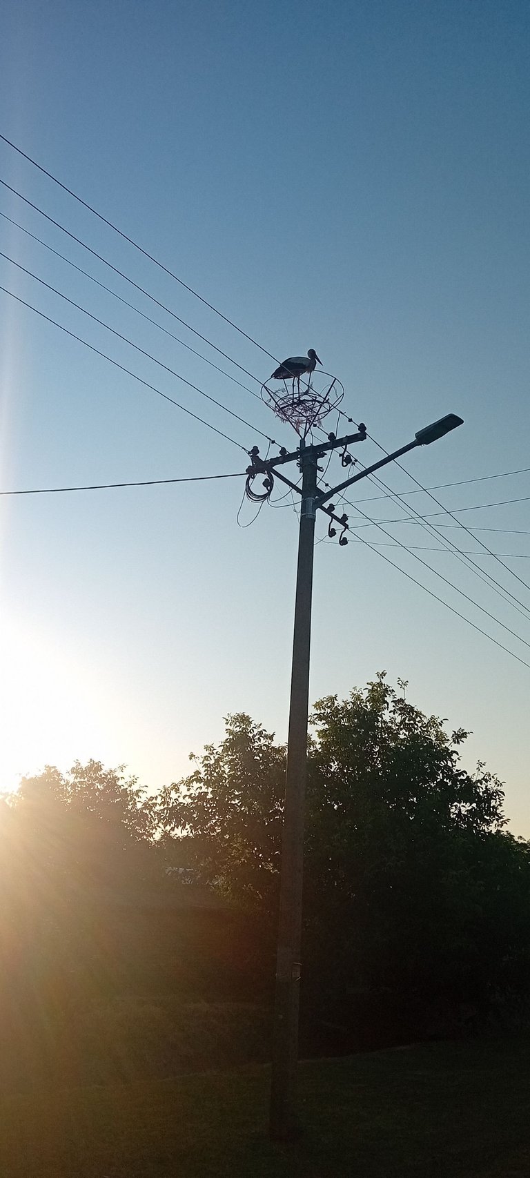 20250625_054448.jpg