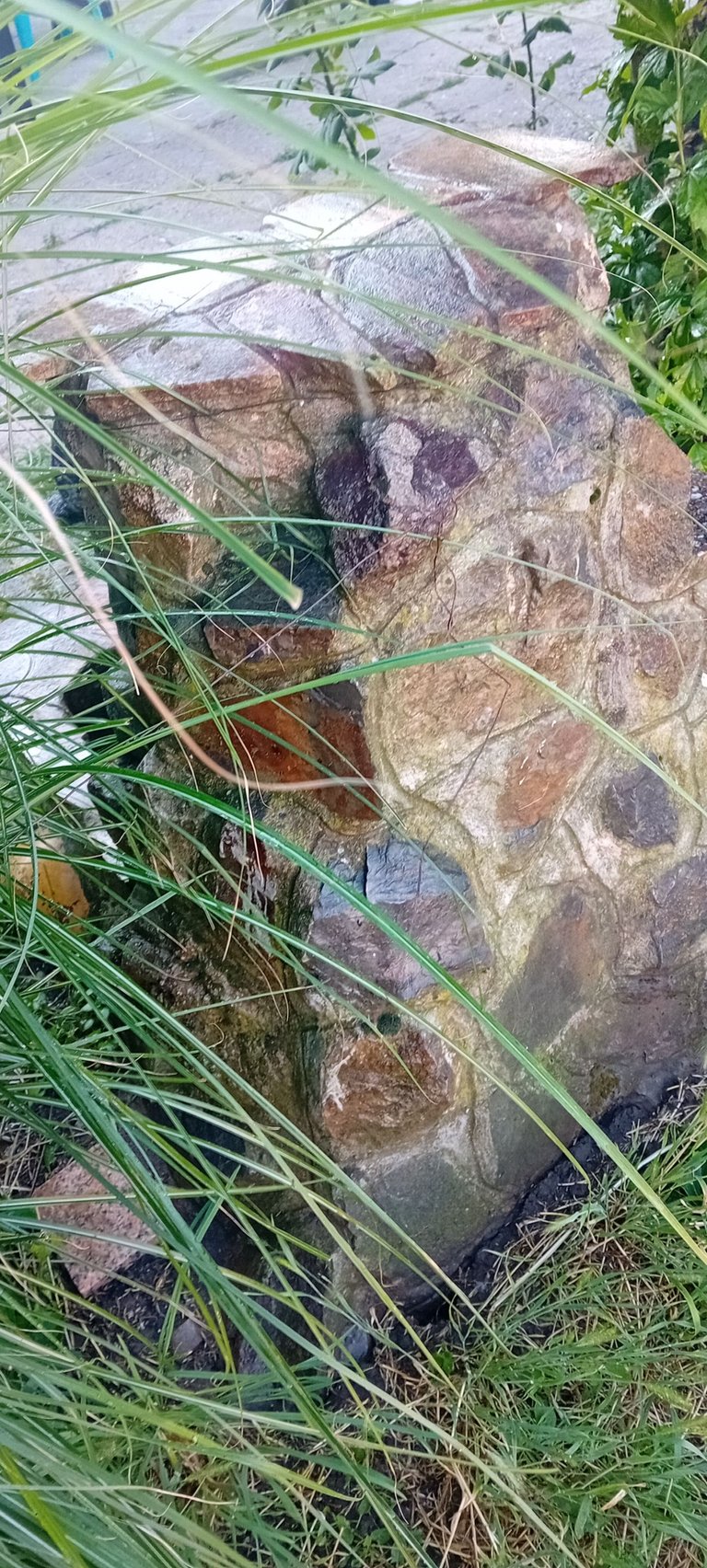 20250615_183235.jpg
