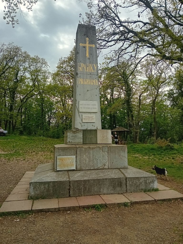 20250413_164034.jpg