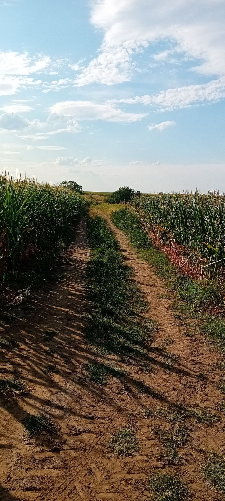 20250712_172854.jpg